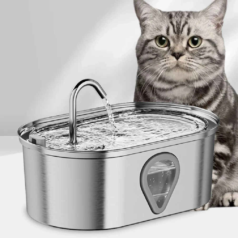 cat Water Fountain