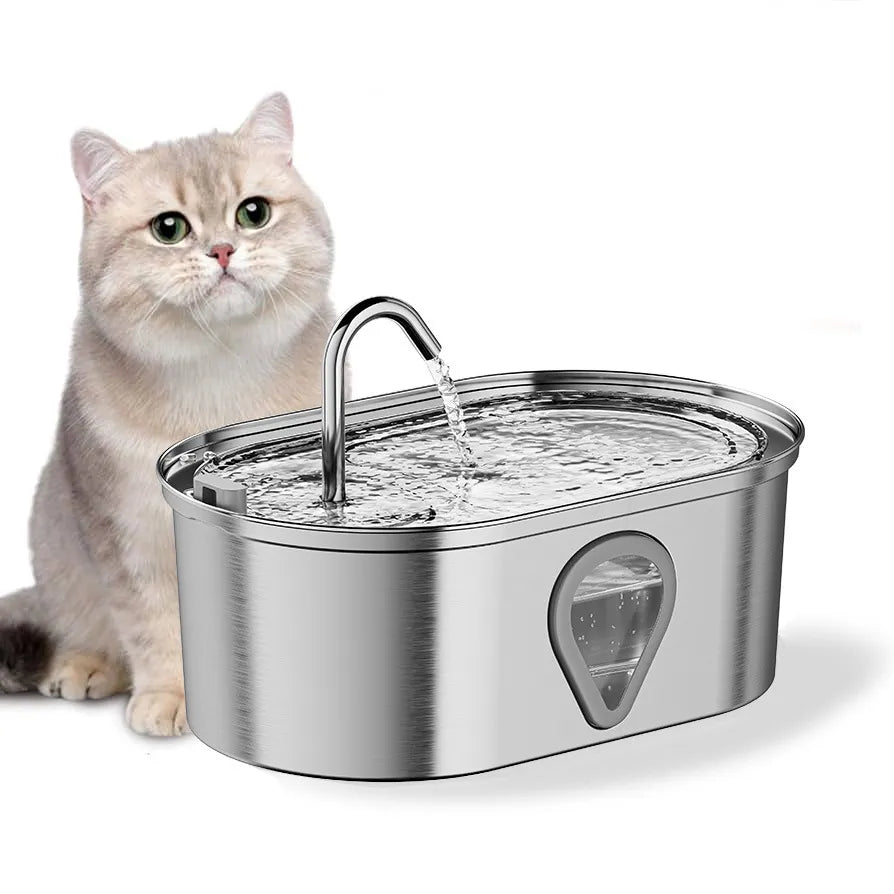 cat Water Fountain