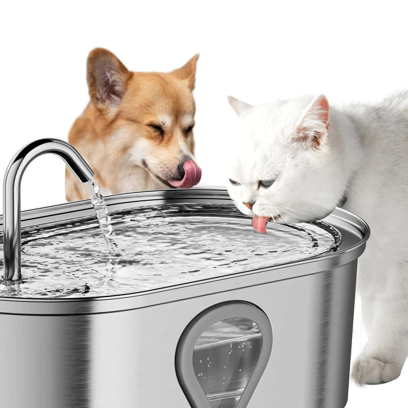 cat Water Fountain